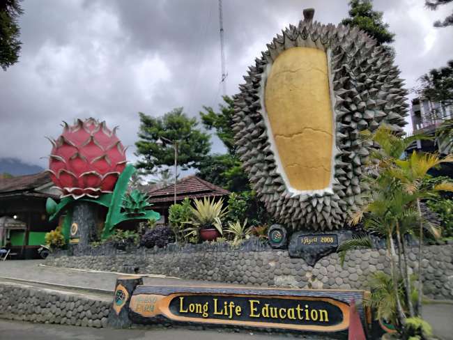 Warso Farm