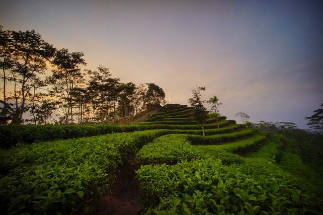 Ulasan Desa Wisata Nglinggo, Ini Lokasi, HTM, dan Daya Tariknya