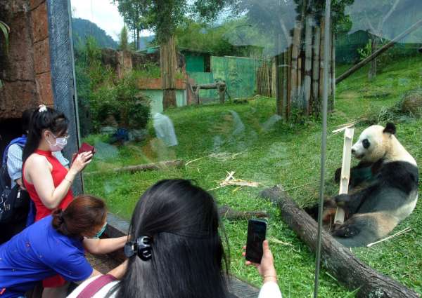 Taman Safari Bogor: HTM Terbaru Update!, Jam Buka & Wahananya – DomainJava.com