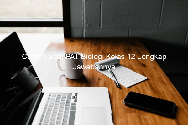 Contoh Soal PAT Biologi Kelas 12 Lengkap Jawabannya