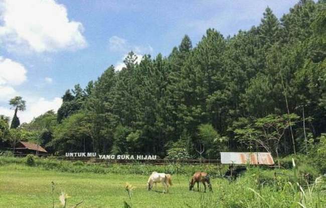 Alamat dan Lokasi Wisata Alam Pangjugjugan