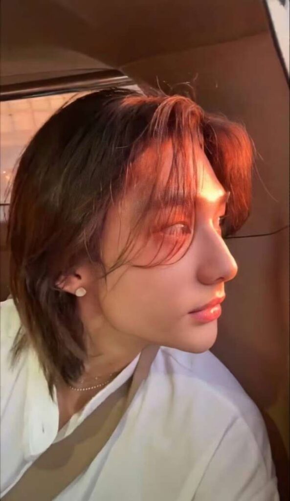 Chestnut