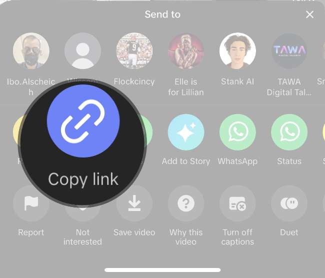 Tautan di TikTok