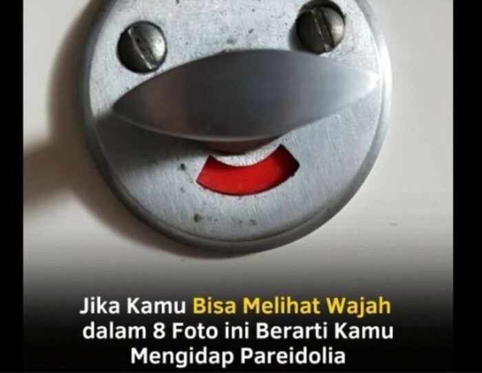 penyebab pareidolia